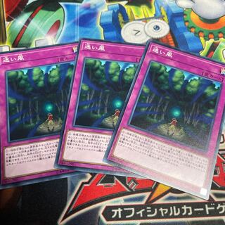 迷い風 ノーマル JP037