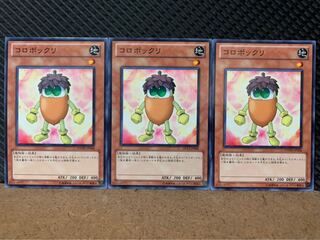 【ぽぽたん】遊戯王 9000 コロボックリ 3枚 ノーマル