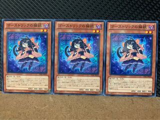【ぽぽたん】遊戯王 9011 ゴーストリックの猫娘 3枚 ノーマル