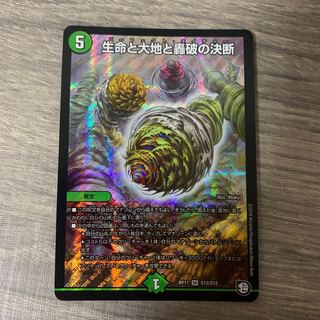 Life Life, Earth and Roaring Decision SR S12/S12