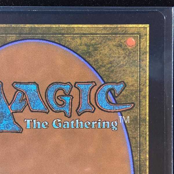 for the exclusive use of Mr. Ponch