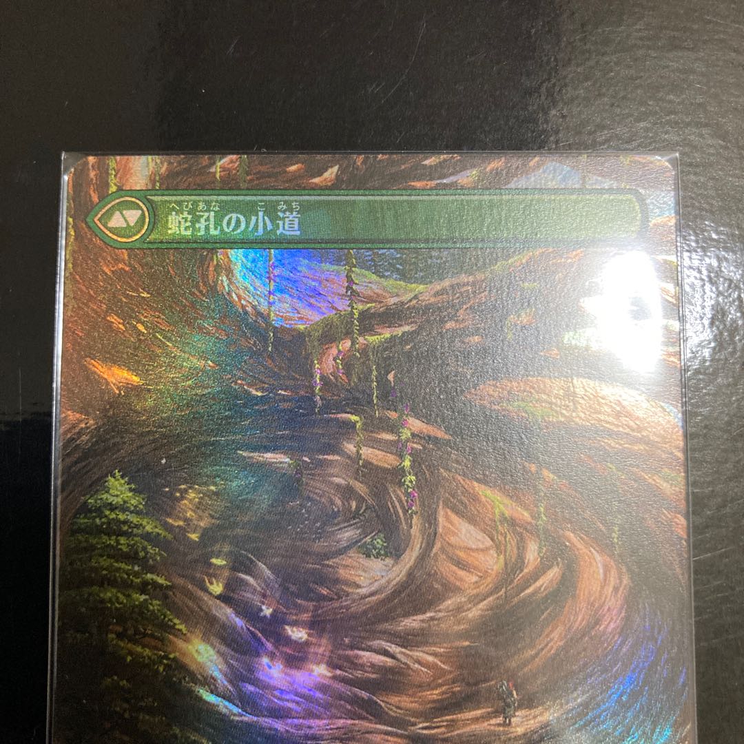 MTG Darkbore Pathway Expansion Frame Foil Spec.
