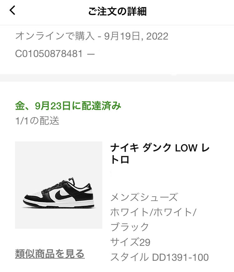 Nike Dunk Low Retro Ho Wight/Black Wight DD1391-100 29cm