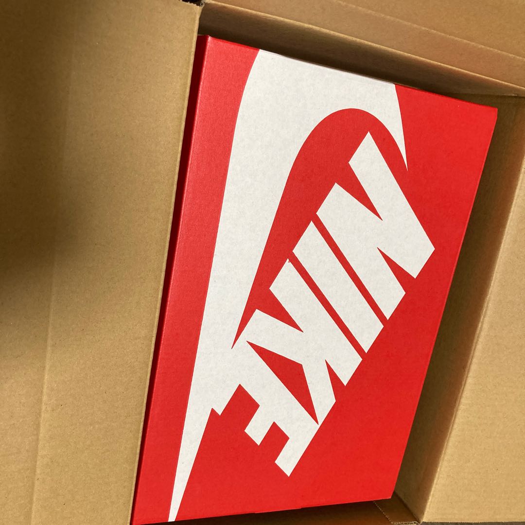 Nike Dunk Low Retro Ho Wight/Black Wight DD1391-100 29cm