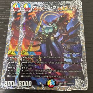 Akashic Final (Silver Treasure) VR TR10/TR10 Set of 2