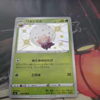 ワタシラガ S 210/190