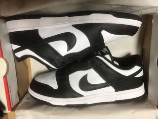 Nike Dunk Low Retro Ho Wight/Black Wight DD1391-100 27cm