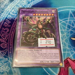 Predaplant Dragostapelia Normal English 1 copy