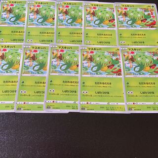 マスキッパ C 004/068   しばりつける！！   最安値！