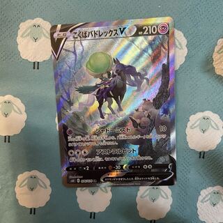 Kokuba Budrex V SR 076/070 SA