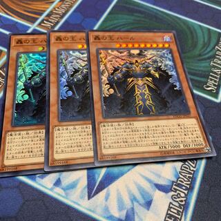 Harr, Generaider Boss of Storms Super Rare JP027