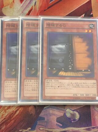 Maxx "C" Normal JP018