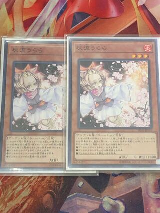 Ash Blossom & Joyous Spring Normal JP019