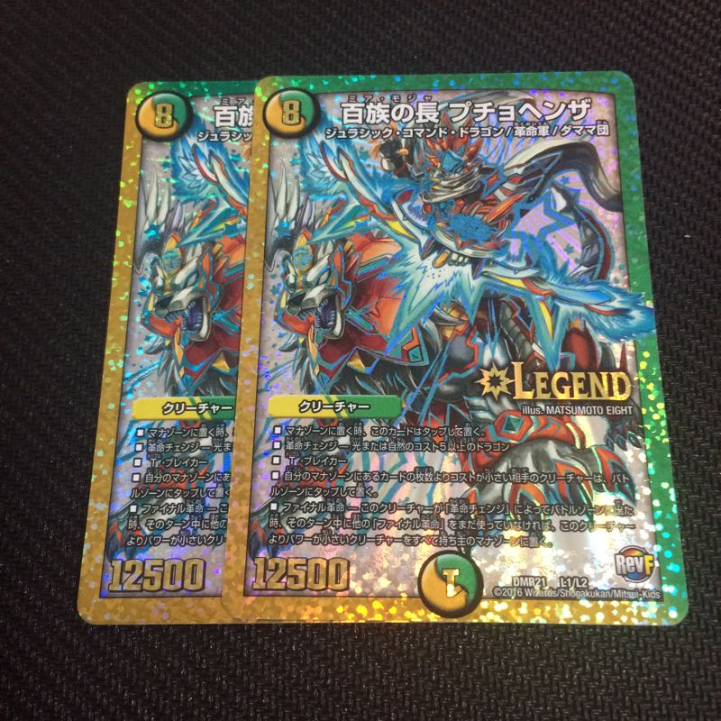 百族の長 プチョヘンザ 1枚