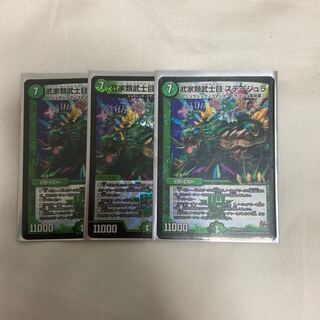 Samurai Family Samurai Stagera VR