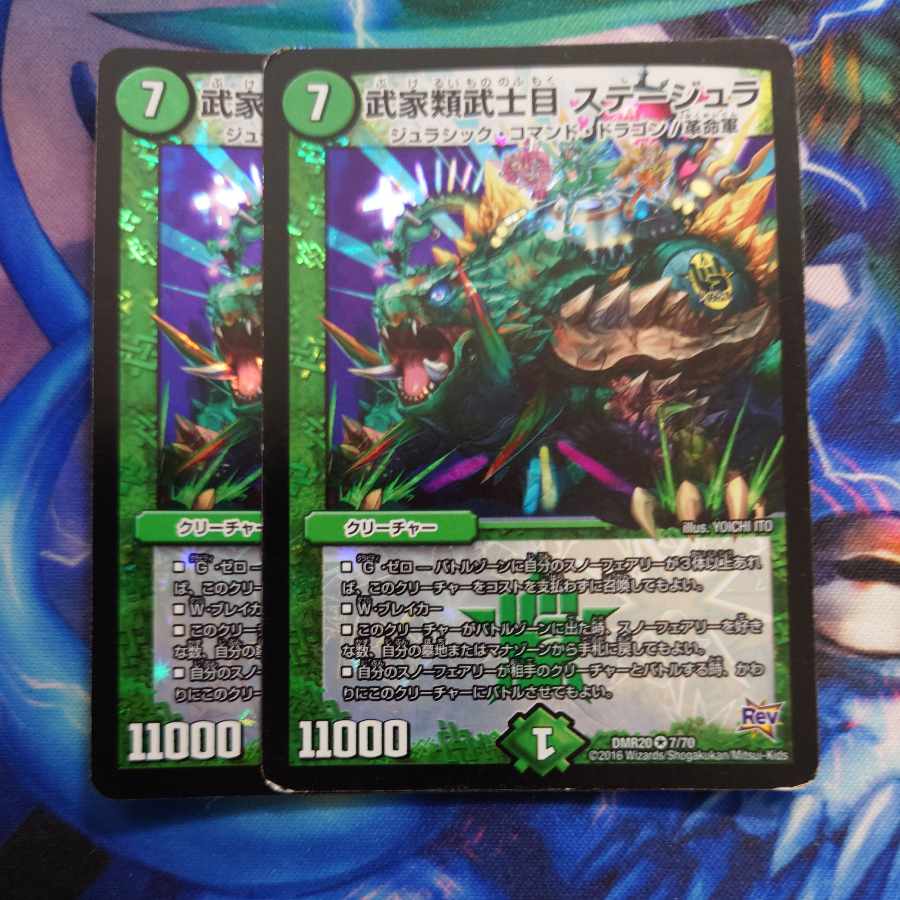 Samurai family Samurai order Stejura VR 7/70