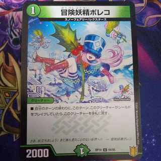 Adventure Fairy Poleco C 94/95