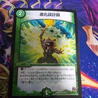 進化設計図 R 25/71