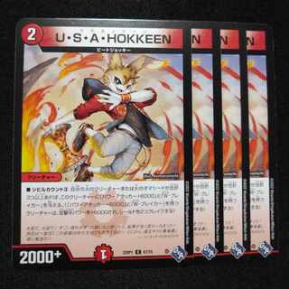 U.S.A. HOKKEEN C 67/74