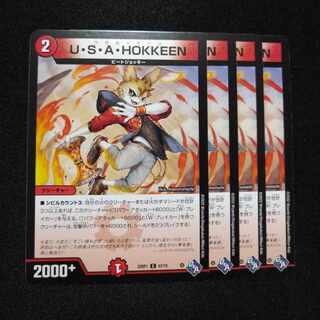 U.S.A. HOKKEEN C 67/74