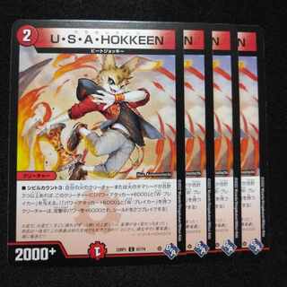 U.S.A. HOKKEEN C 67/74