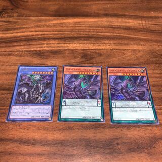 アモルファージ・イリテュム スーパーレア JP031