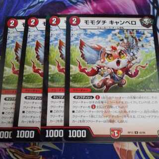 モモダチ・キャンベロ  1枚