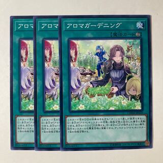 アロマガーデニング ☆9392