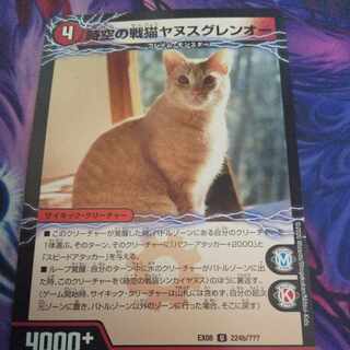 (Exclusive) Spacetime War Cat Shinkayanus｜Spacetime War Cat Janus Glen O. Set of 2