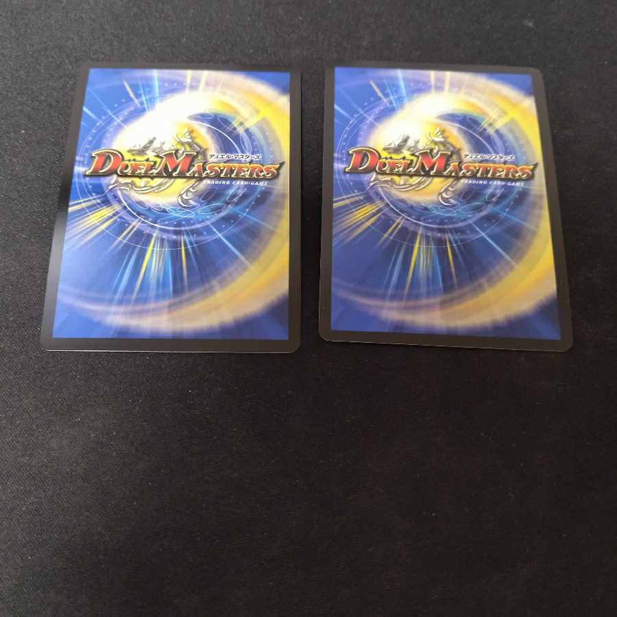 武家類武士目 ステージュラ VR 14/110 2枚