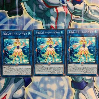 海晶乙女コーラルアネモネ 3枚 RIRA-JP041