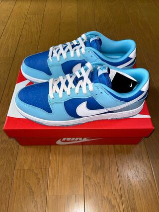 28.5cm Nike Dunk Low Retro QS Argon 28.5cm
