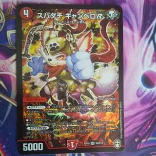 Spadati Canbero R SR S4/S11