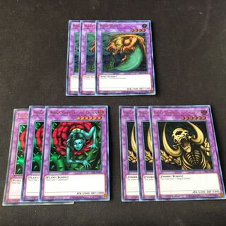 Rare Fish Golden Elephant English Ultra Summary 9 copies