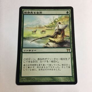 垣間見る自然　日本語