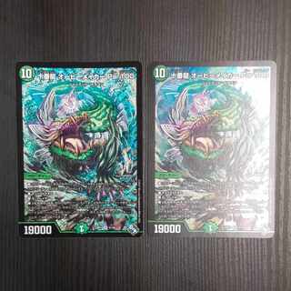 Juban Ryu Aubie Rosa Carr Par100 SR S7/S8 2pcs.