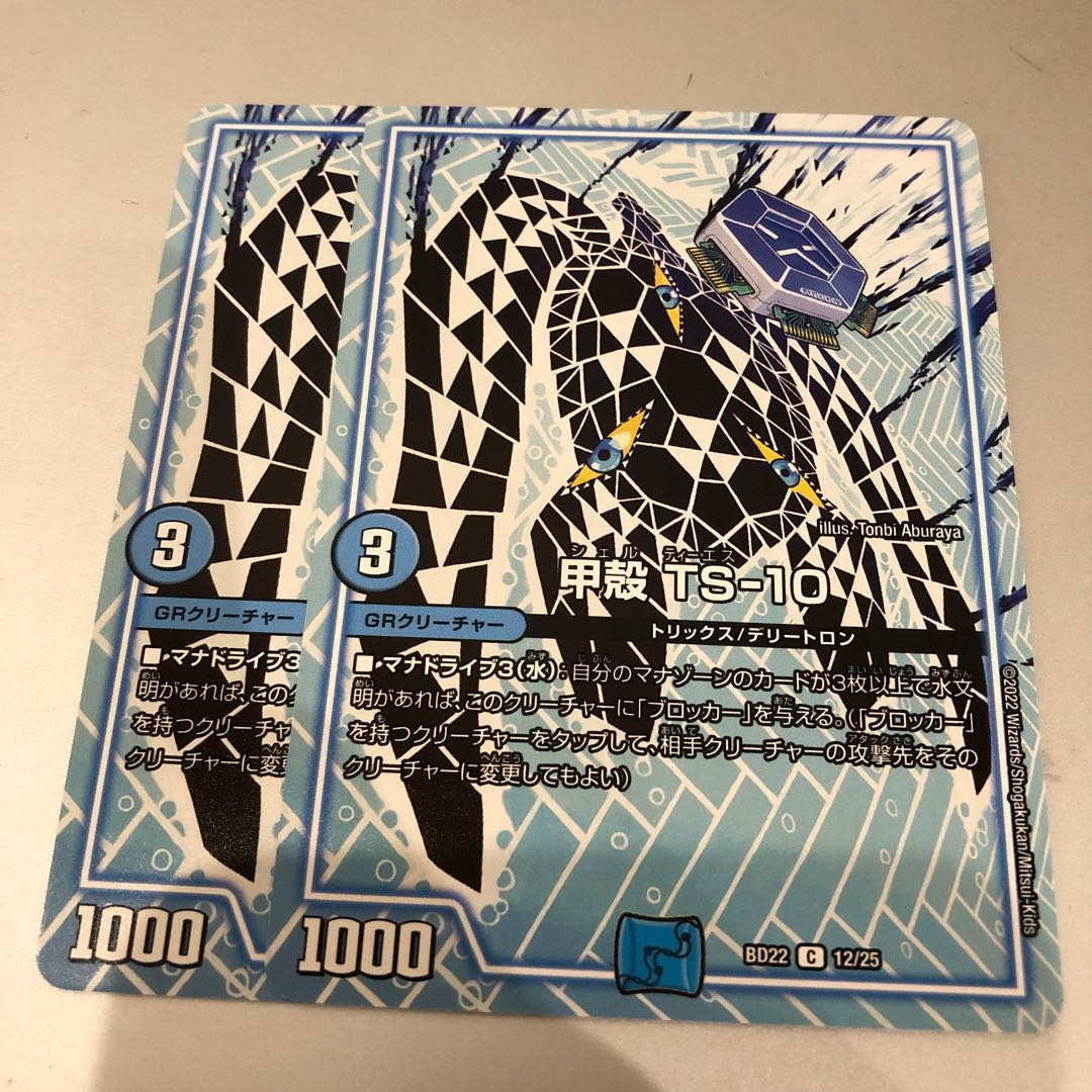 Carapace TS-10 C 12/25 2 sheets