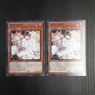 Ash Blossom & Joyous Spring Normal JP014 2