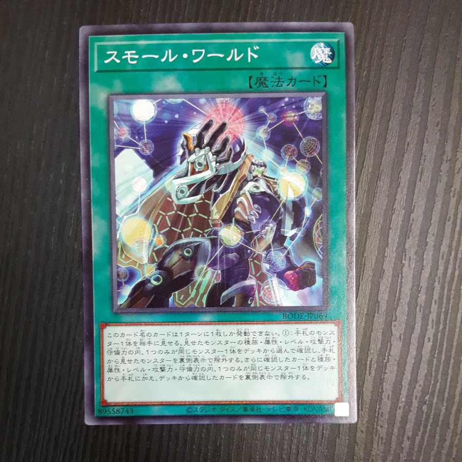 Small World Normal rare JP069