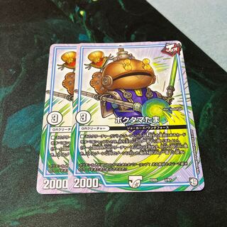 Poktama (variety of rice)