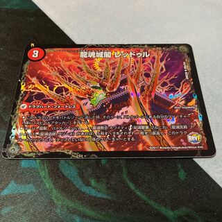 Ryutonjokaku Reduru｜Kyokushin Ryuton All Over the World (bottom) R-foil 20a/54｜20b/54