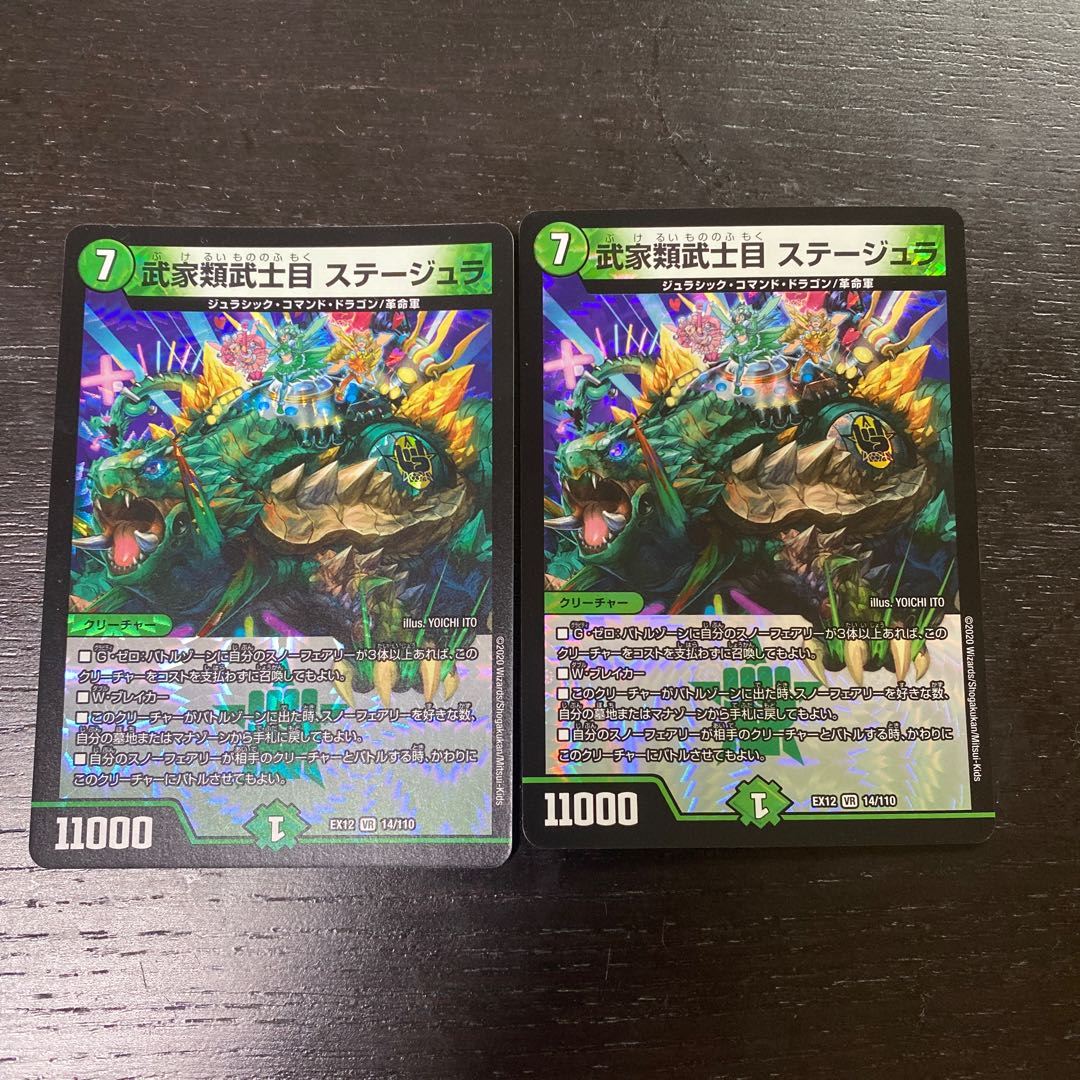 Samurai family Samurai order Stejura, VR 14/110.