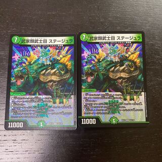 武家類武士目 ステージュラ VR 14/110