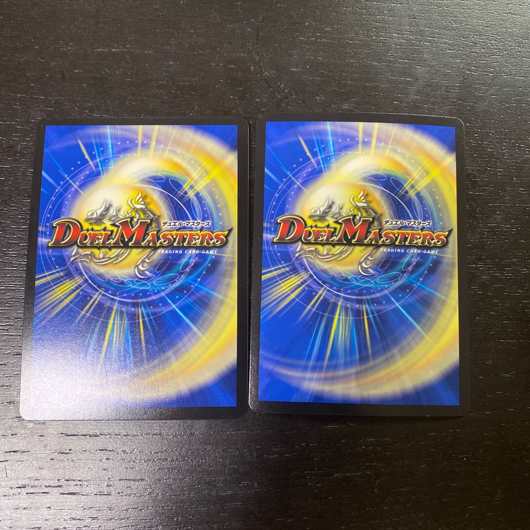 Samurai family Samurai order Stejura, VR 14/110.