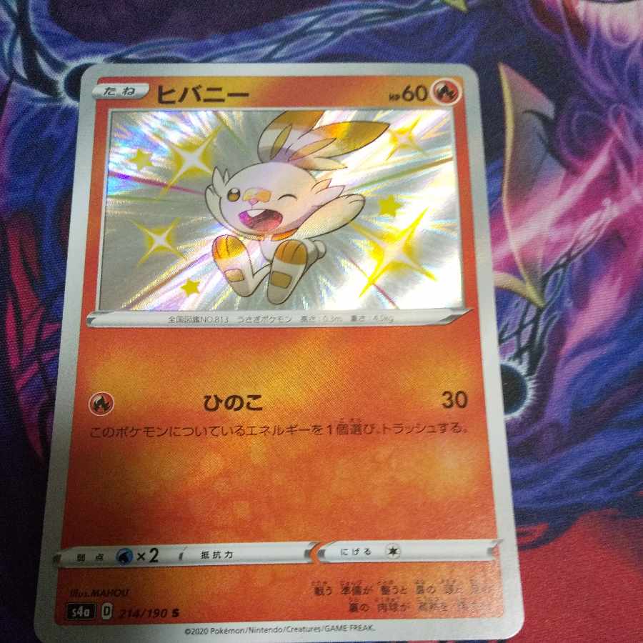 ヒバニー S 214/190