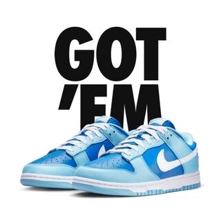 Nike Dunk Low Retro QS Argon 29cm