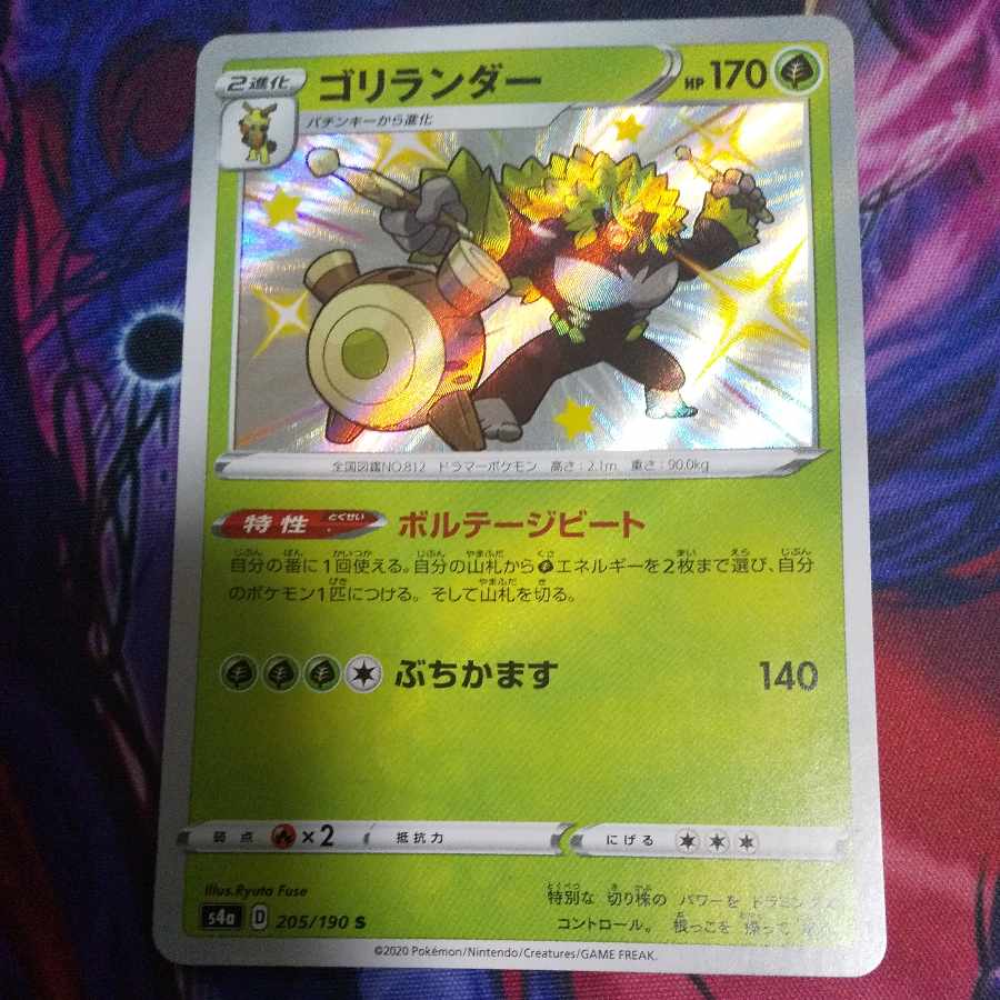 ゴリランダー S 205/190