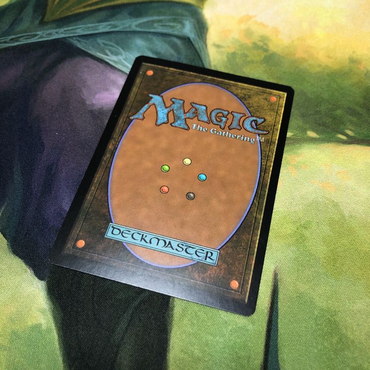 MTG 英　墨蛾の生息地