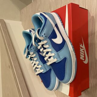 Nike Dunk Low Retro QS Argon (2022) 26cm