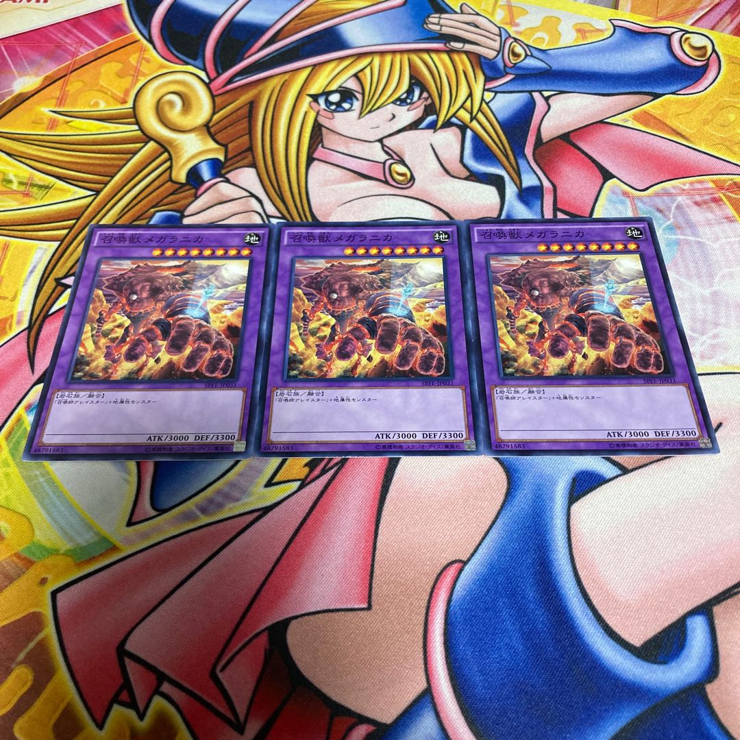 Invoked Magellanica Normal JP031